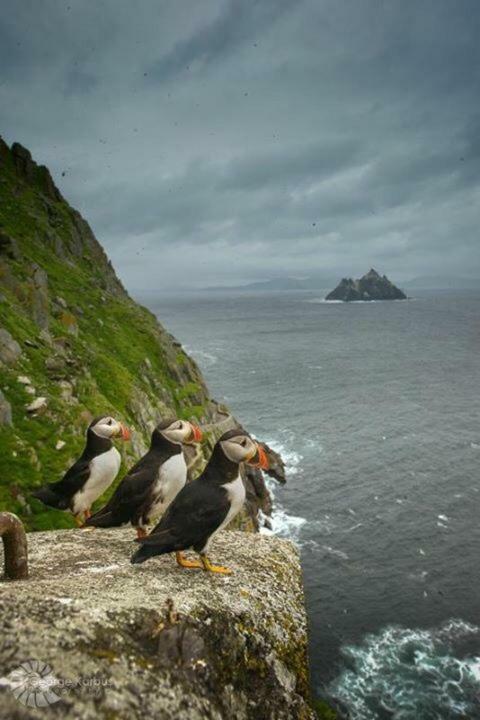 Skellig Port Accomodation - Sea View Rooms Ensuite Portmagee Exterior photo