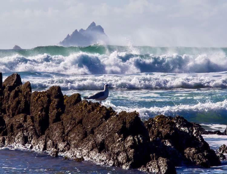 Skellig Port Accomodation - Sea View Rooms Ensuite Portmagee Exterior photo